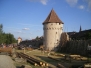 700 ans des Remparts de Bergheim